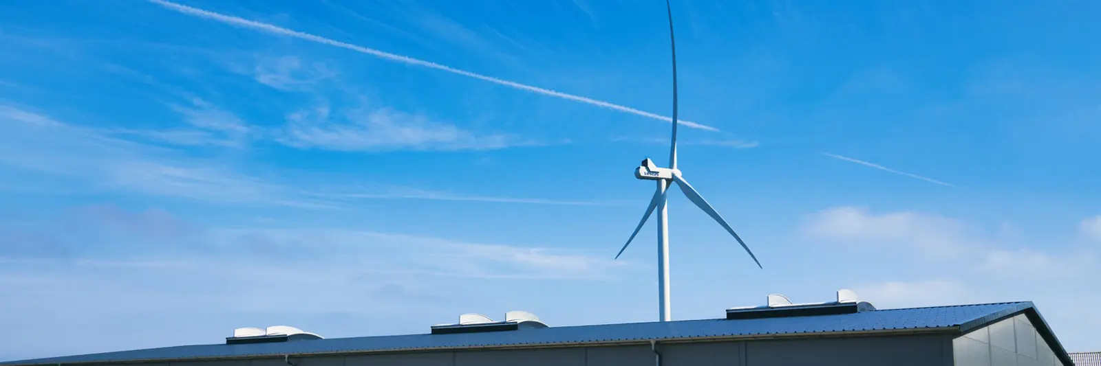 Grøn værdiskabelse